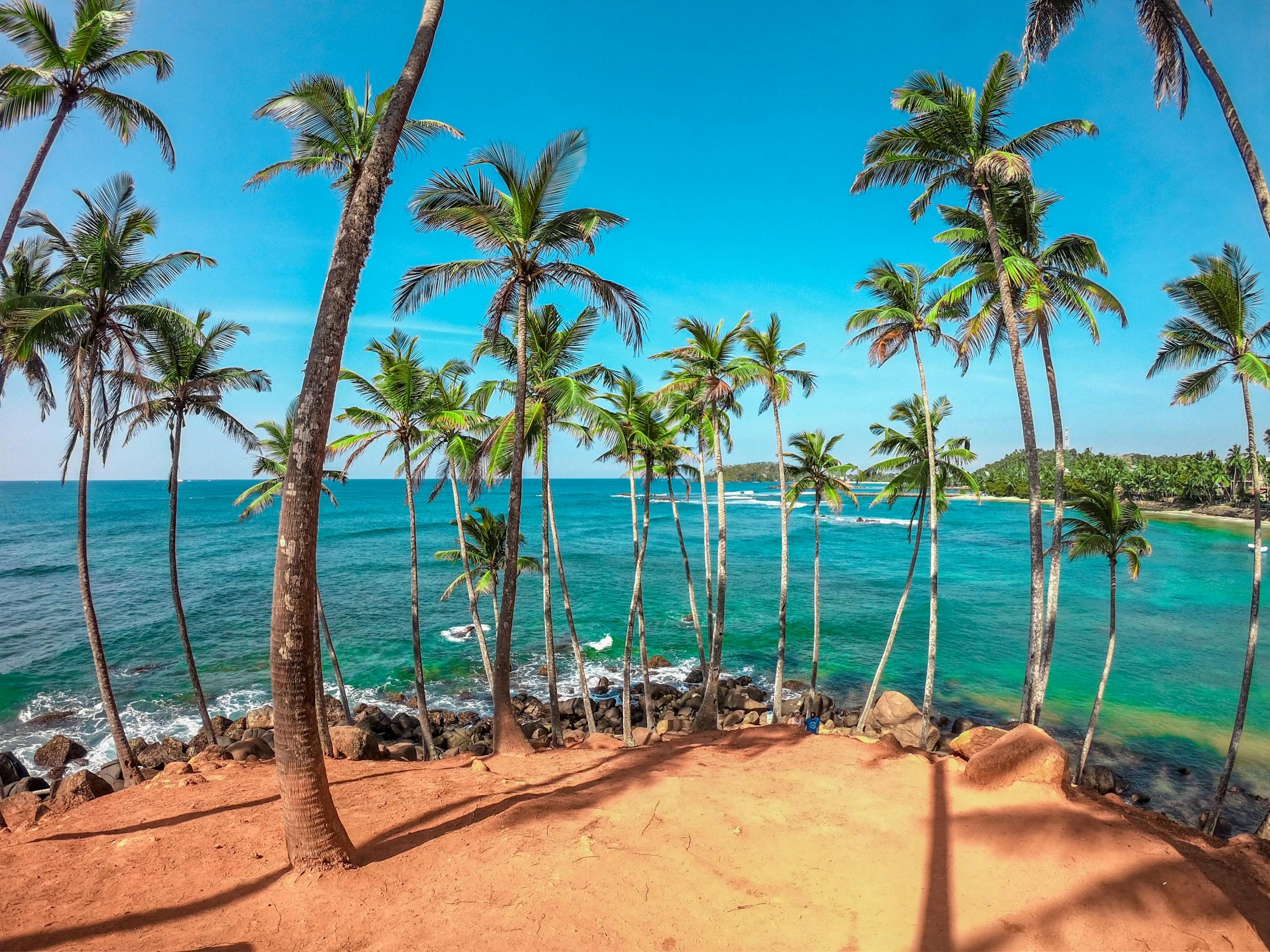 MIRISSA WHALE WATCHING