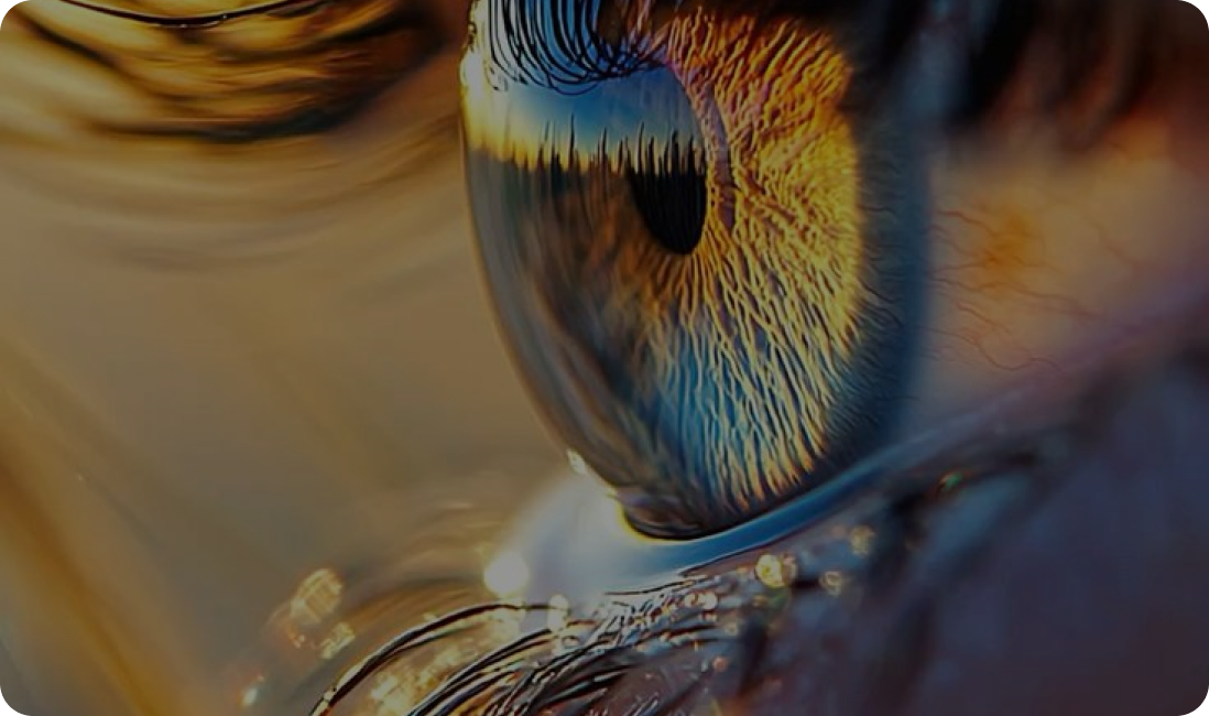 Our Vision