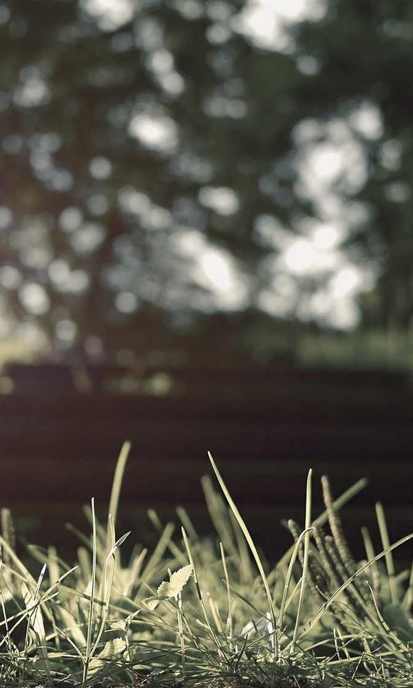 Visual Story 1