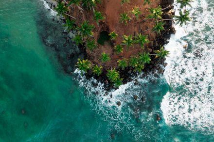 MIRISSA WHALE WATCHING Gallery 3